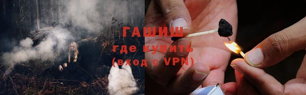 сатива Алзамай