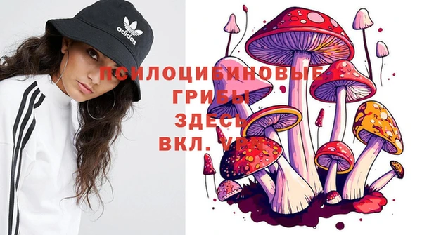 экстази Алексин