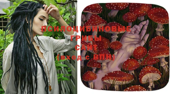 сатива Алзамай