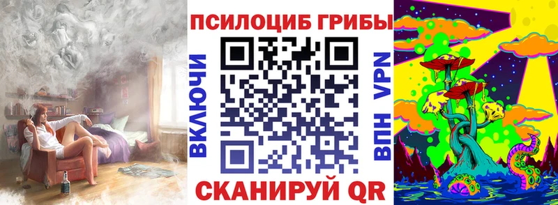 Галлюциногенные грибы Psilocybine cubensis  блэк спрут онион  Павловская 